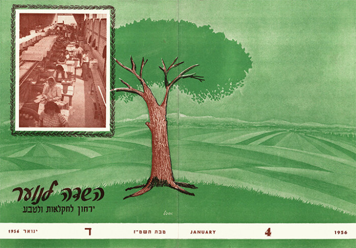 שער ירחון, השדה לנוער