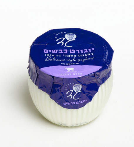 אריזת יוגורט כבשים