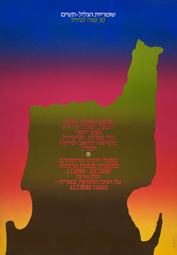 כרזה, 30 שנה לנח"ל