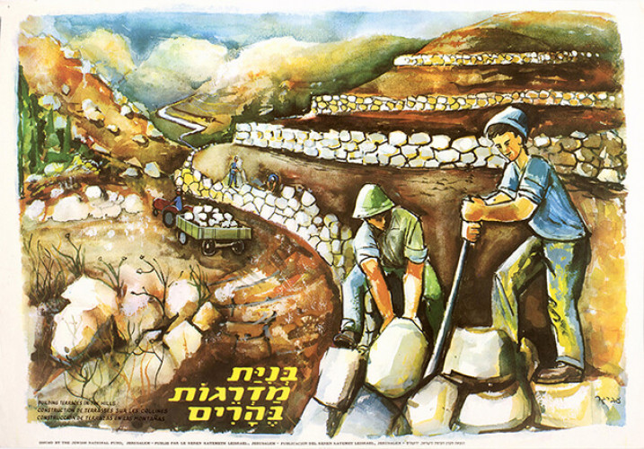 כרזה, קרן קימת