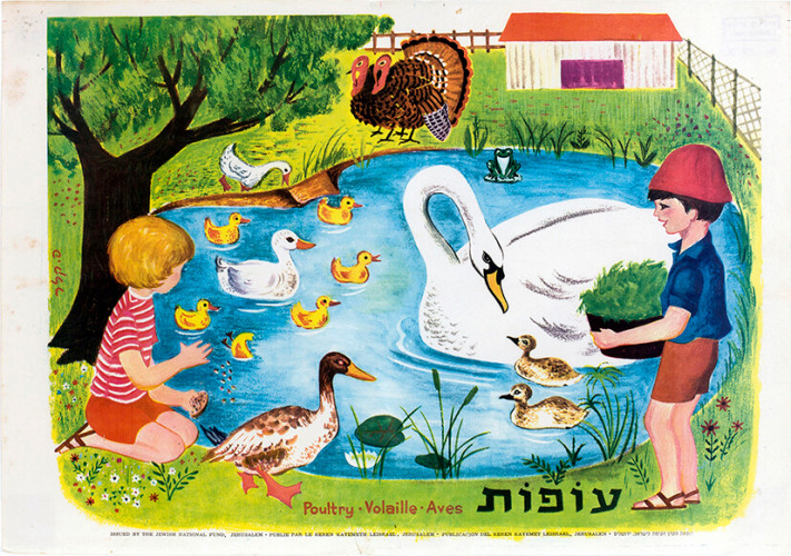 עופות
