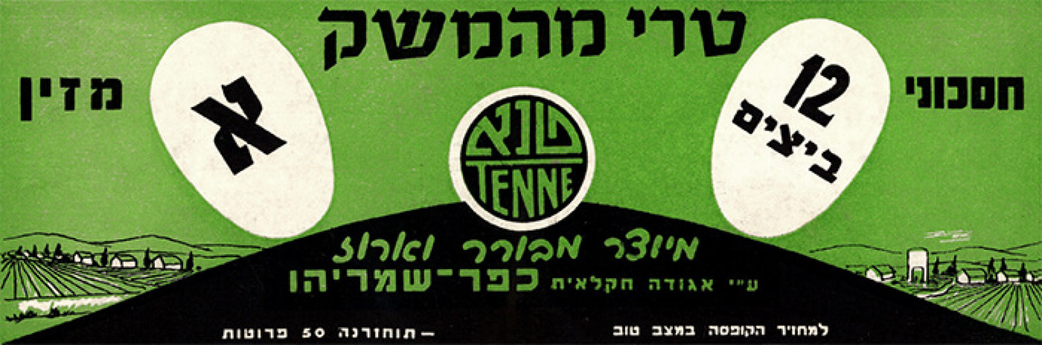 אריזה ביצי טנא