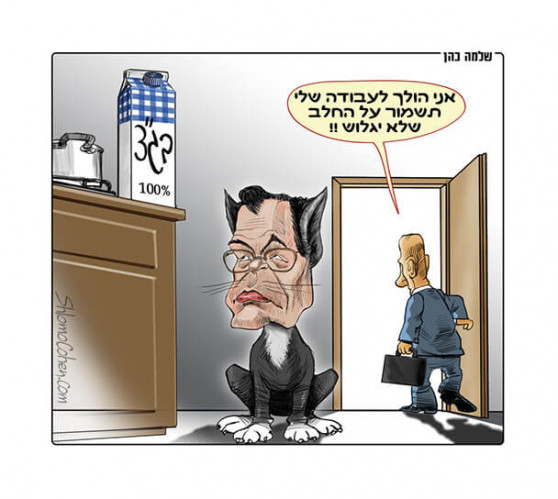 פרידמן