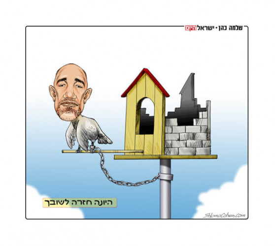 היונה חזרה לשובך