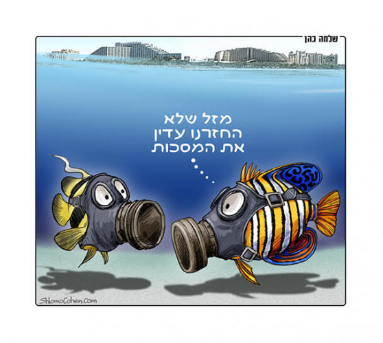 הזיהום באילת