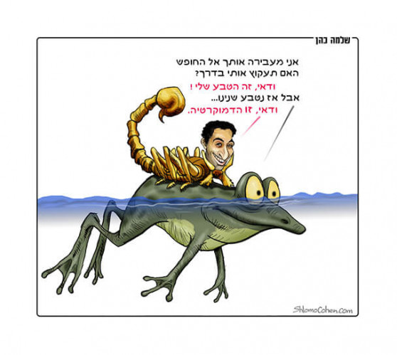 הצפרדע