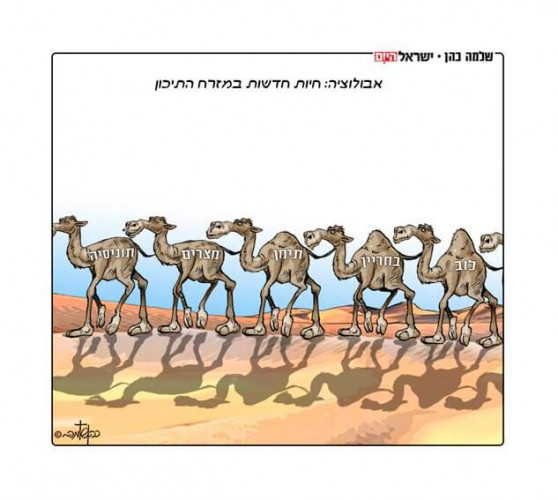 אבולוציה