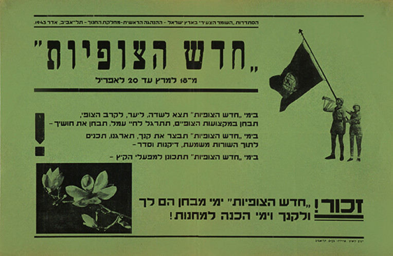 חדש הצופיות