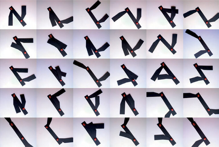 Studies