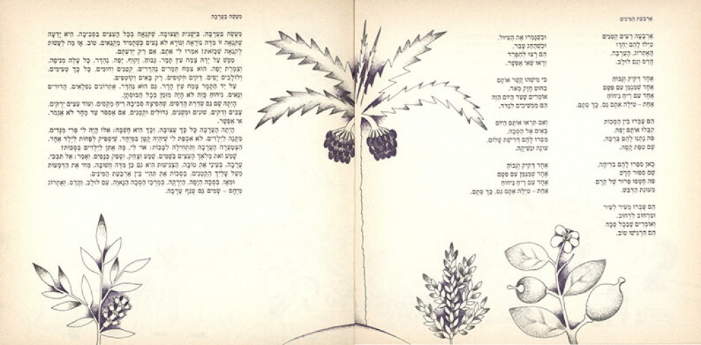 חג לי
