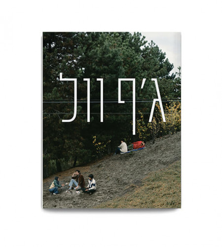 קטלוג "ג'ף וול: נראות"