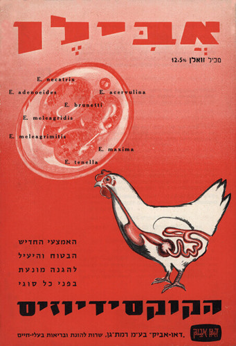 עלון אבילן