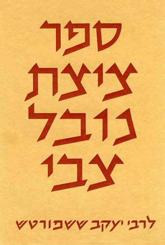 עטיפת הספר ציצת נובל צבי