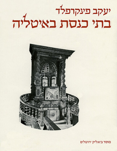 עטיפת הספר בתי כנסת באיטליה