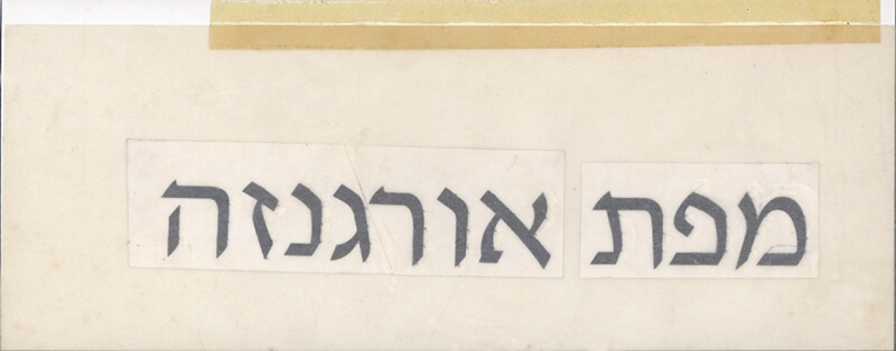 סקיצה