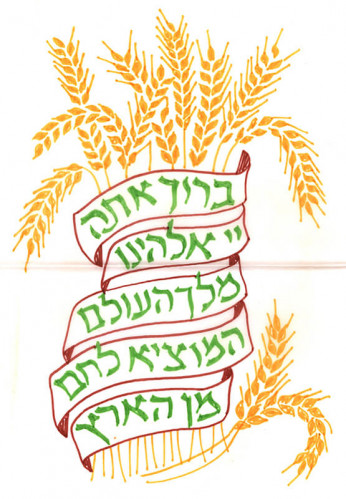 סקיצה