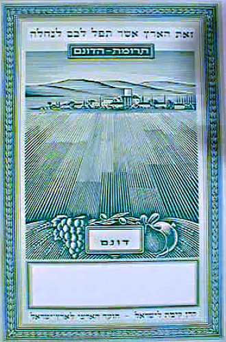 תעודה, תרומת הדונם