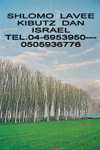 כרטיס ביקור