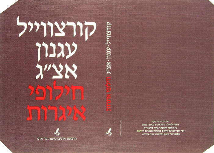 עטיפת הספר חילופי אגרות