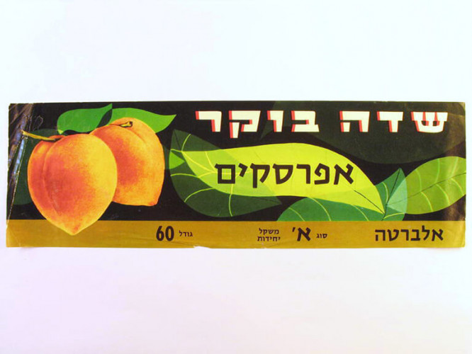 אריזה שדה בוקר אפרסקים