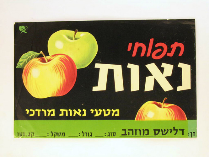 אריזה תפוחי נאות- מטעי נאות מרדכי