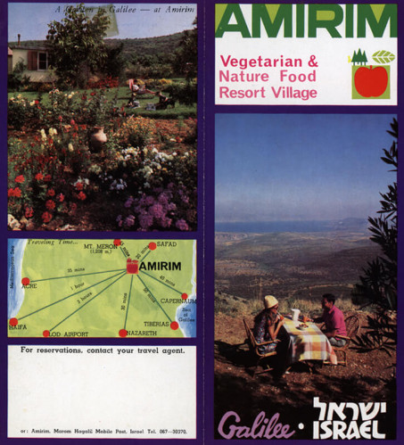 עלון מושב אמירים
