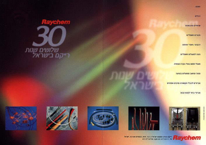 שלושים שנות רייקם בישראל