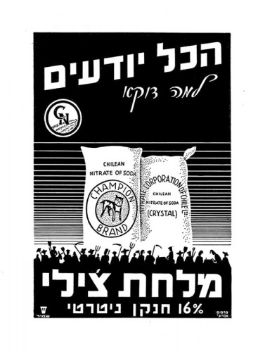 הכל יודעים למה דווקא מלחת צילי