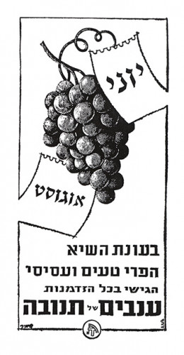 ענבים של תנובה