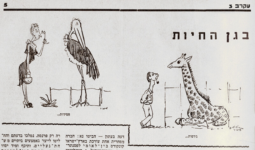 קריקטורה, בגן החיות