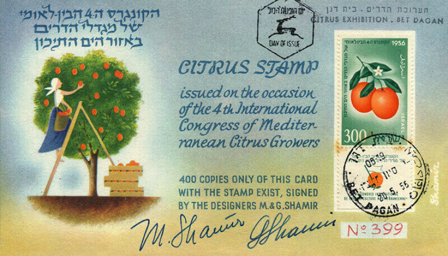 מעטפה, מגדלי הדרים