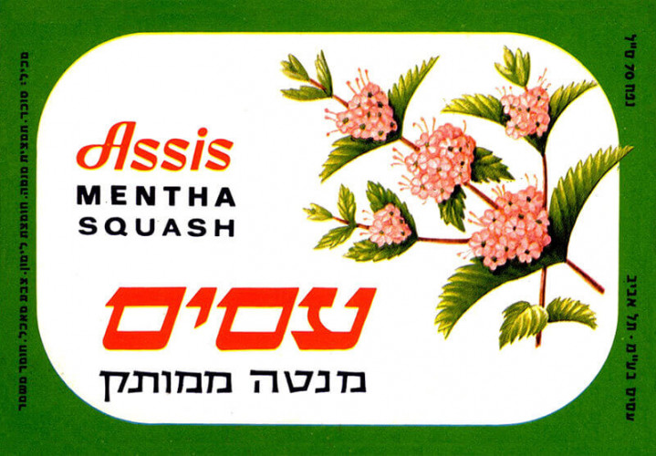 מנטה ממותק