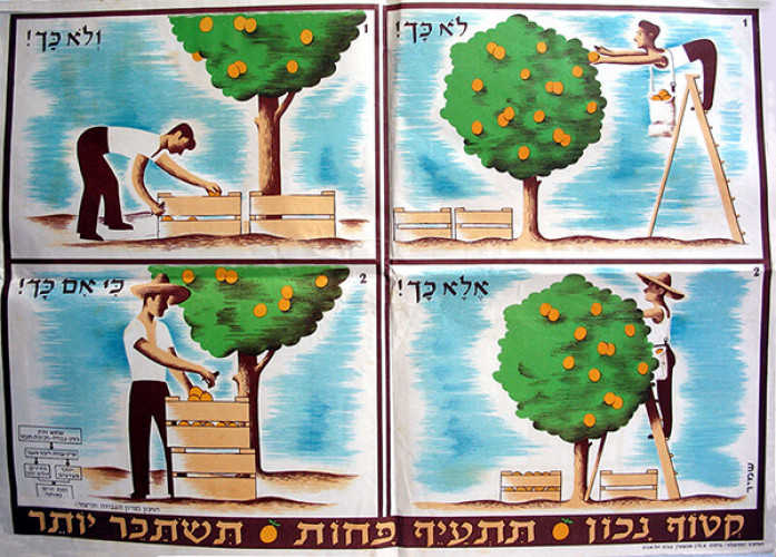 קטוף נכון. תתעייף פחות. תשתכר יותר