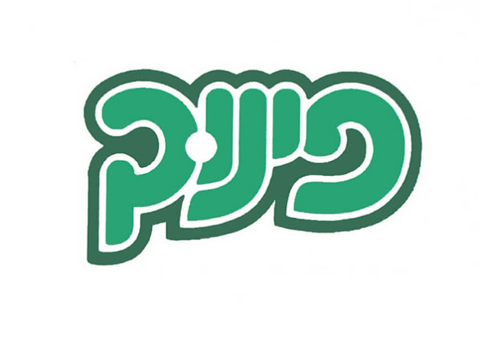 לוגו פינוק