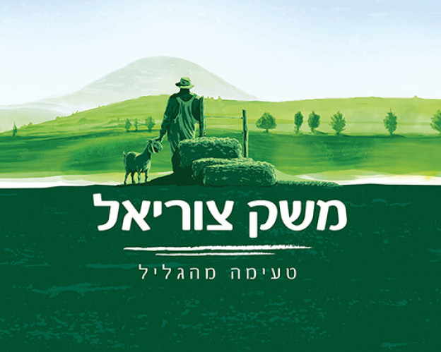 לוגו, משק צוריאל