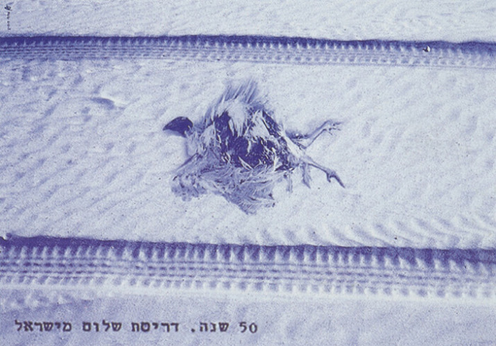 כרזה, דריסת שלום מישראל