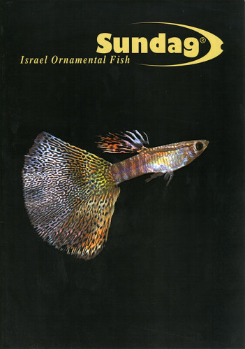 קטלוג, סאנדג