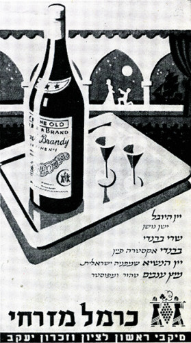 כרמל מזרחי