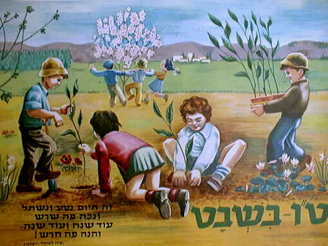 כרזה, ט"ו בשבט