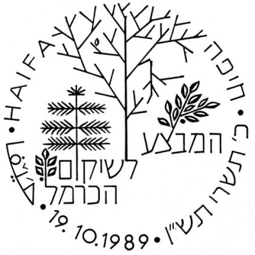 המבצע לשיקום הכרמל