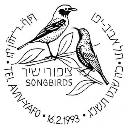 ציפורי שיר