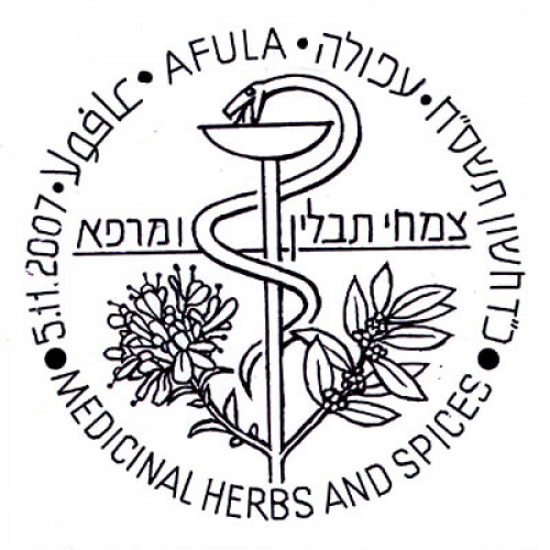 צמחי תבלין ומרפא