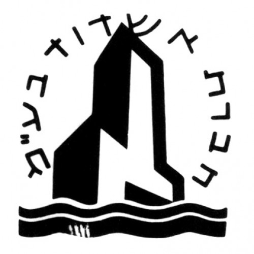 הצעה ללוגו, חברת אשדוד
