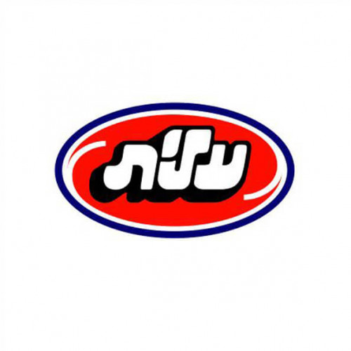 לוגו עלית