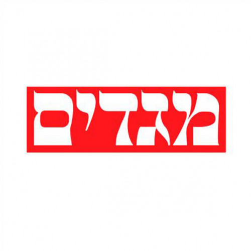 לוגו מגדים