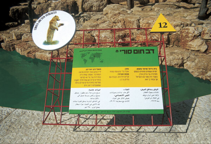 גן החיות ירושלים