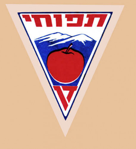 תפוחי דן