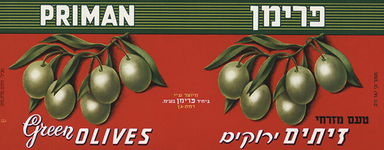 זיתים ירוקים
