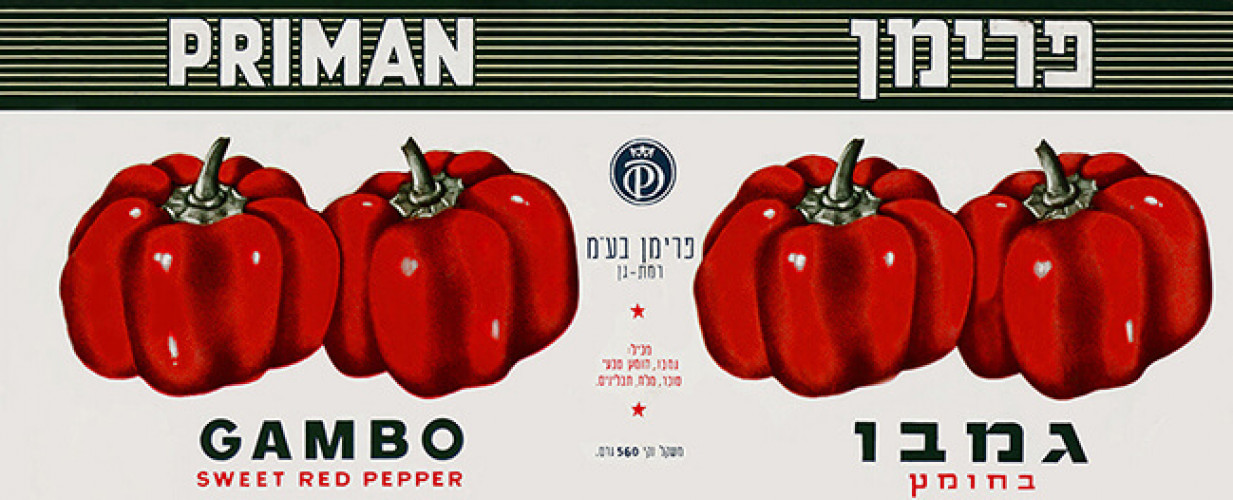 גמבו