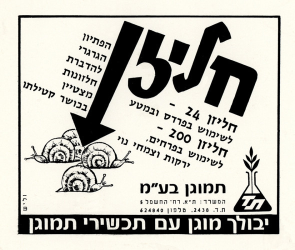 מודיעת חליזן